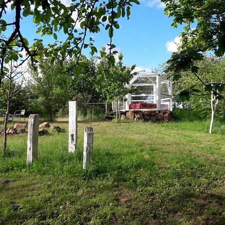 Glashaus Sternblick, Schlafen Unterm Sternenhimmel Neustadt am Kulm Εξωτερικό φωτογραφία
